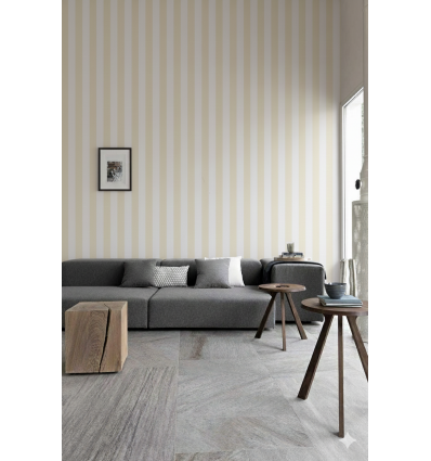 Looney Tunes Çizgili Duvar Kağıdı 5 m2 - 12642